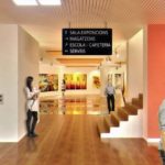 Escola d'artistes 13