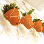 Fruiteria Mazzedonia 21