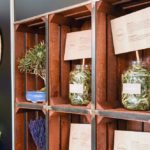 Estand Àgora d'Oli 4