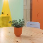 750_3284 Centre d'acollida SUARA 3